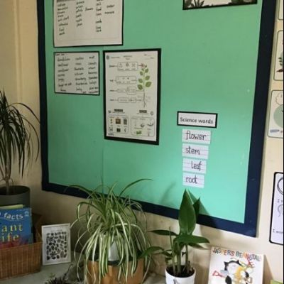 54e8a783-ceb5-45c4-9b13-8866b3a123631x1