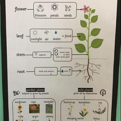 7b0a01fd-c876-49a9-ad67-967e0ffdf56a1x1